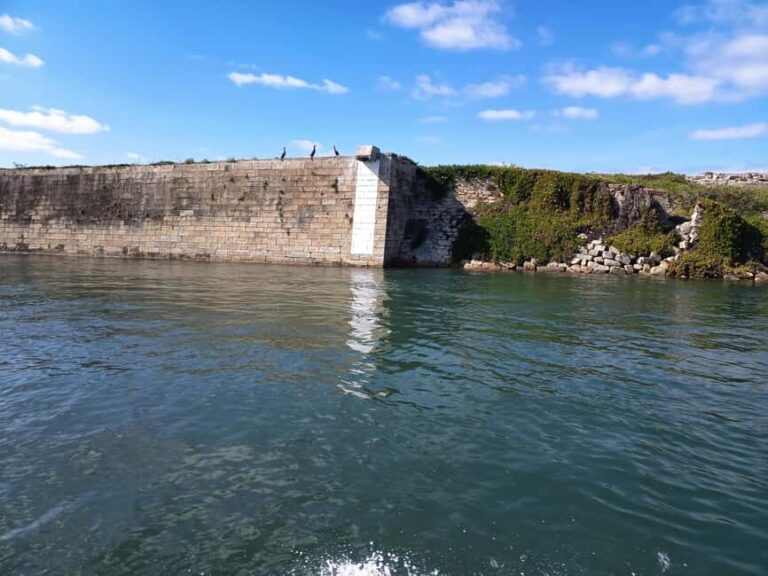 From Aveiro to the Beaches by Boat - Who Will Love This Tour?