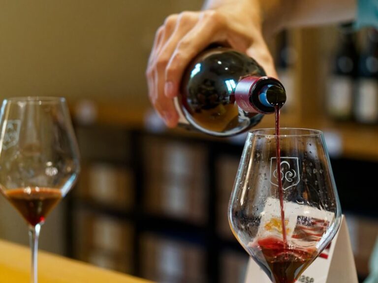 From Avignon: Luberon and Chateauneuf-du-Pape Full-Day Tour - Wine Tasting and Vineyard Touring