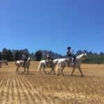 From Barcelona: Horseback Tour in Montserrat National Park - What’s Included & What’s Not