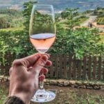 From Barcelona: Montserrat Lunch & Wine Tasting in Vineyard - Exploring Montserrat’s Monastery and Cultural Gems