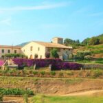 From Barcelona: Private Alella Wine Tour by Electric Bike - The Value of the Tour