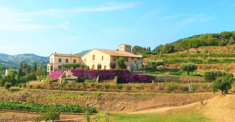 From Barcelona: Private Alella Wine Tour by Electric Bike - The Value of the Tour