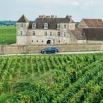 From Beaune: Burgundy Day Trip with 14 Wine Tastings - First Stop: A Local Winery near Beaune