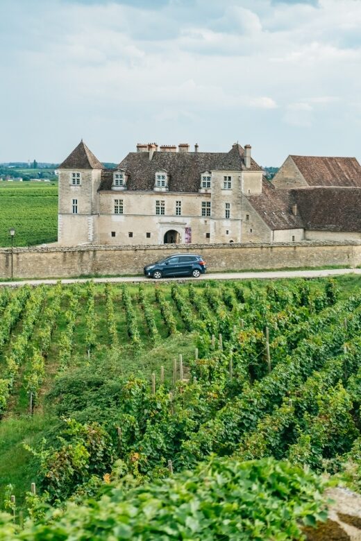 From Beaune: Burgundy Day Trip with 14 Wine Tastings - First Stop: A Local Winery near Beaune