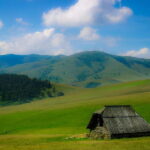 From Belgrade: Full-Day Guided Tour of Zlatibor Mountain - Transportation and Group Size