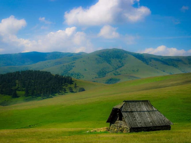 From Belgrade: Full-Day Guided Tour of Zlatibor Mountain - Transportation and Group Size