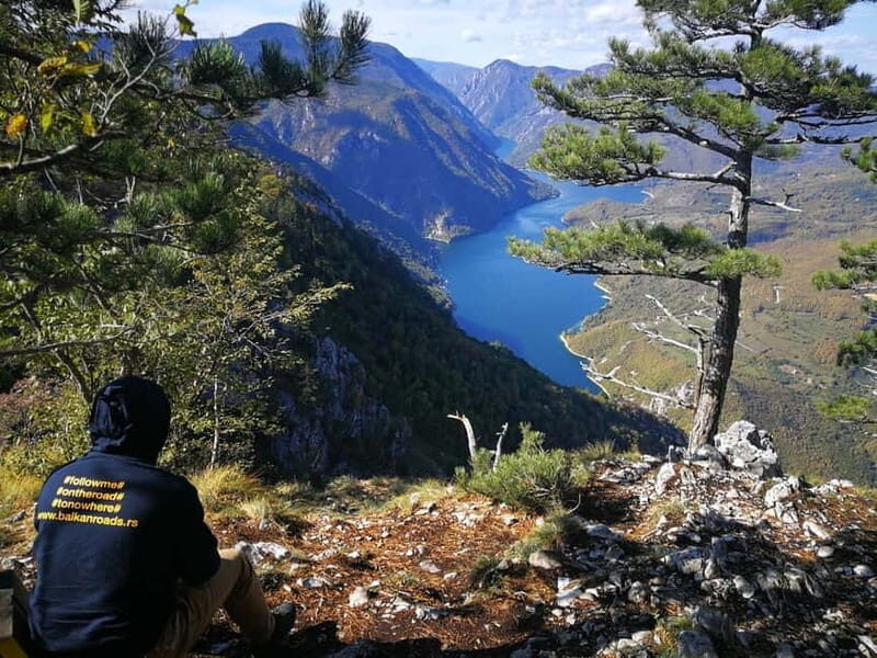 From Belgrade: Tara NP & Drina river & House on the Drina - What Makes This Tour Stand Out?