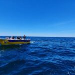 From Benagil: Benagil Cave & Marinha Beach Express Tour - The Experience from the Guides