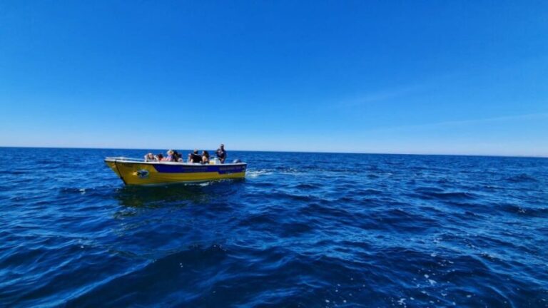 From Benagil: Benagil Cave & Marinha Beach Express Tour - The Experience from the Guides