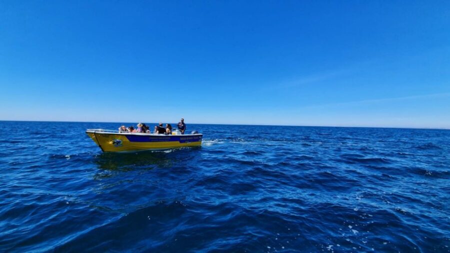 From Benagil: Benagil Cave & Marinha Beach Express Tour - The Experience from the Guides