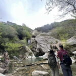 From Berat: Osumi Canyon, Bogova Waterfall, and Pirro Goshi - Practical Details for Planning Your Trip