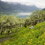 From Bergen: Private Trip to Hardangerfjord - FAQs