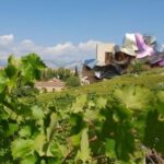 From Bilbao: Rioja Architecture and Wine Tour - Who Will Love This Tour?