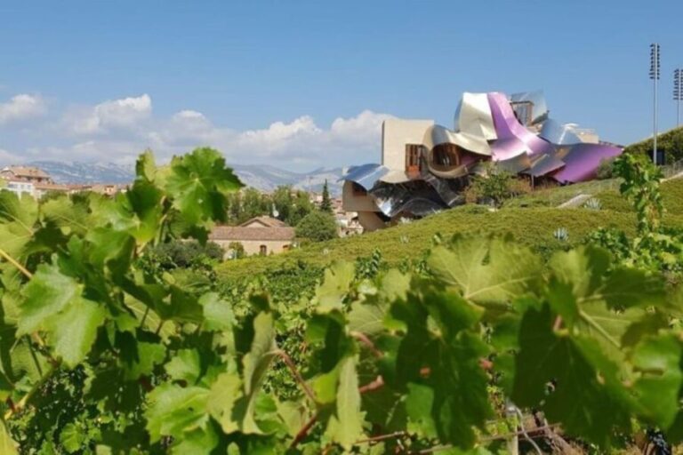 From Bilbao: Rioja Architecture and Wine Tour - Who Will Love This Tour?