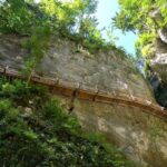 From Bled: Half-Day Pokljuka Gorge Trail Hike - What to Expect from the Pokljuka Gorge Trail Hike