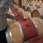 From Bordeaux: 2 Wineries MEDOC Tour with Tastings - Final Thoughts