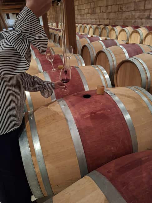From Bordeaux: 2 Wineries MEDOC Tour with Tastings - Final Thoughts