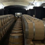 From Bordeaux: Private Tour in the Chateaux of Saint-Émilion - Who Should Consider This Tour?