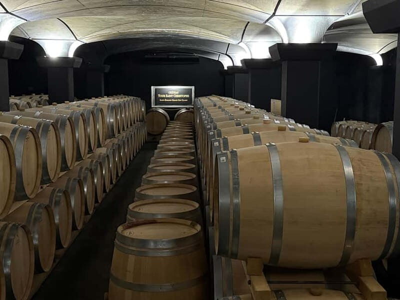 From Bordeaux: Private Tour in the Chateaux of Saint-Émilion - Who Should Consider This Tour?