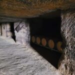 From Bordeaux: Private tour Monbazillac (Castle, Wine & Food in Dordogne) - Analyzing the Value