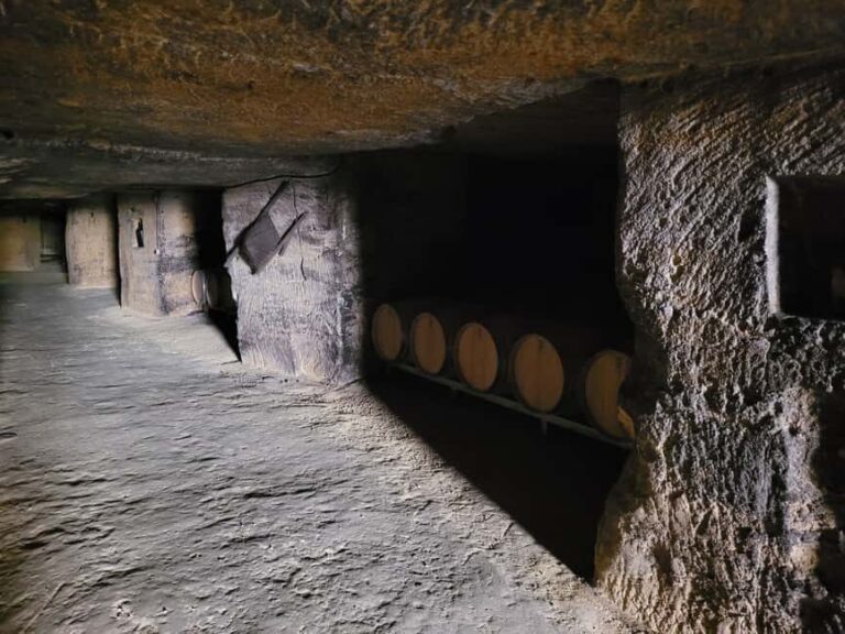 From Bordeaux: Private tour Monbazillac (Castle, Wine & Food in Dordogne) - Analyzing the Value