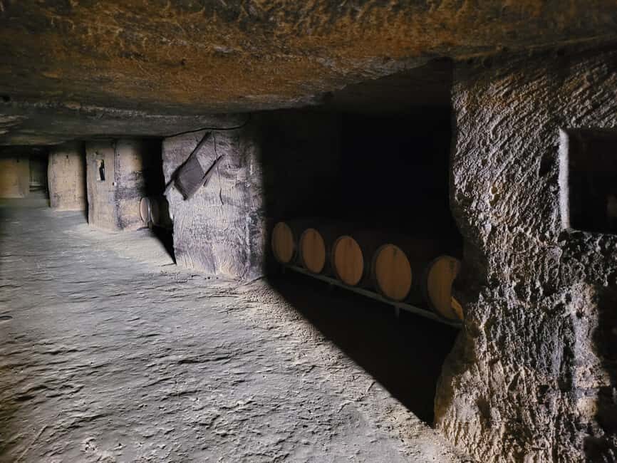 From Bordeaux: Private tour Monbazillac (Castle, Wine & Food in Dordogne) - Analyzing the Value