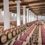 From Bordeaux: Private Wine Tour to Saint-Émilion - The Value of This Tour