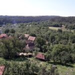 From Brasov: Sighisoara, Viscri, and Rupea Unesco Day Trip - The Practicalities and Value