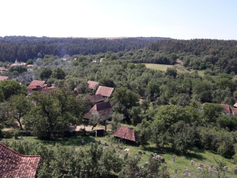 From Brasov: Sighisoara, Viscri, and Rupea Unesco Day Trip - The Practicalities and Value