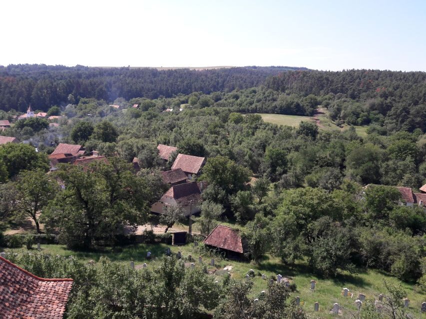 From Brasov: Sighisoara, Viscri, and Rupea Unesco Day Trip - The Practicalities and Value