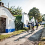 From Brno: Moravian Tuscany E-Bike Tour with Wine Tasting - What’s Included and What’s Not