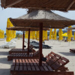 From Bucharest: A Day by the Black Sea Shared Group Tour - Is This Tour Worth the Price?