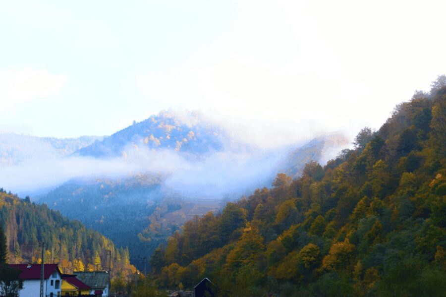 From Bucharest: Bear Sanctuary and 7 Ladders Canyon Day Trip - Who Will Love This Tour?