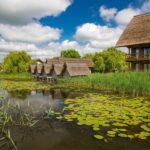 From Bucharest: Day Trip to Danube Delta - The Experience: An In-Depth Look at the Tour