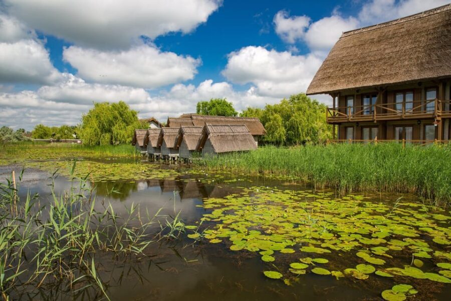From Bucharest: Day Trip to Danube Delta - The Experience: An In-Depth Look at the Tour