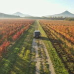 From Budapest: Balaton Half-Circle Tour with Ferry Ride - The Value of This Tour