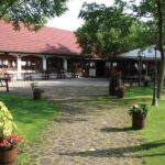 From Budapest: Full-Day Puszta Tour with Lunch and Show - The Value of the Experience