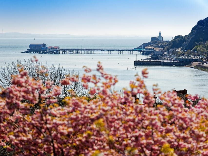 From Cardiff: Golden Gower Coast, Swansea & Mumbles Day Tour - An In-Depth Look at the Tour Experience