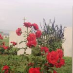 From Chania: Crete World War II History Tour - The Value for Money