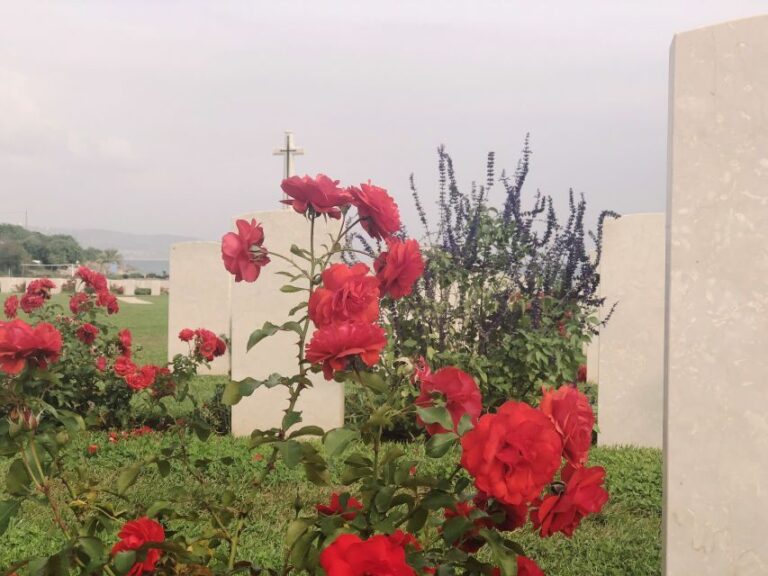 From Chania: Crete World War II History Tour - The Value for Money