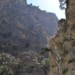 From Chania: Samaria Gorge Hike with Local Mountain Guide - Final Thoughts: Is It Worth Your Time and Money?
