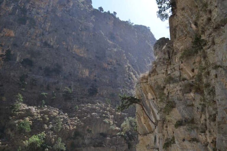 From Chania: Samaria Gorge Hike with Local Mountain Guide - Final Thoughts: Is It Worth Your Time and Money?