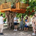 From Chania: Wine and Olive Oil Tasting Tour with Snacks - The Authenticity and Impact