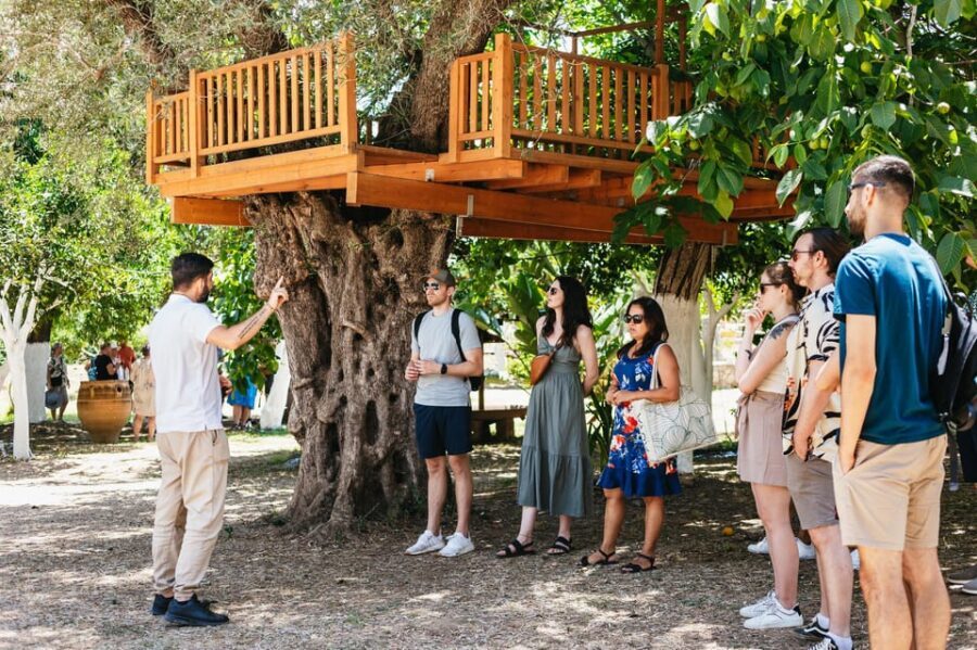 From Chania: Wine and Olive Oil Tasting Tour with Snacks - The Authenticity and Impact