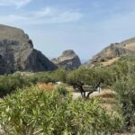 From Chania: Wine, Honey & Olive Oil Private Tour - Understanding the Value of the Tour