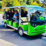 From Chisinau: visit Cricova and Milestii Mici Wineries - What Makes This Tour Stand Out?