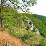 From Cluj: Gorges of Crisul Repede River - The Authenticity and Value of This Experience