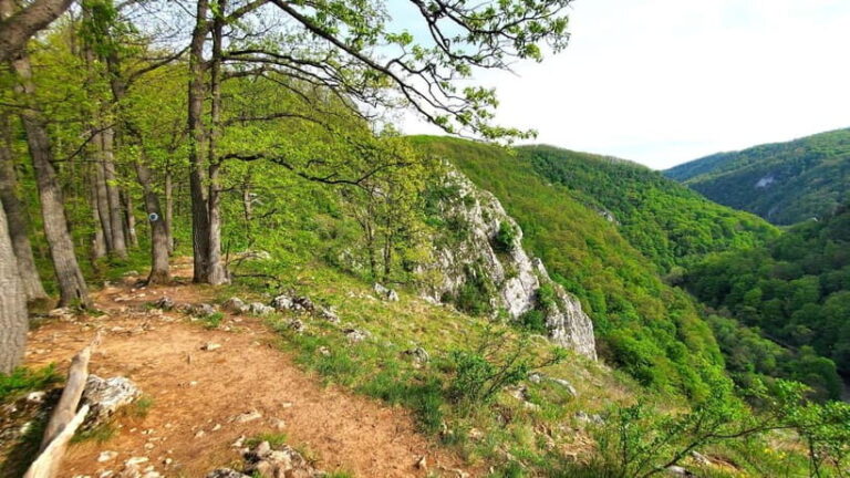 From Cluj: Gorges of Crisul Repede River - The Authenticity and Value of This Experience