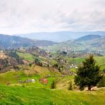 From Cluj-Napoca: 2-Day Bucovina & Painted Monasteries Tour - Who Will Love This Tour?