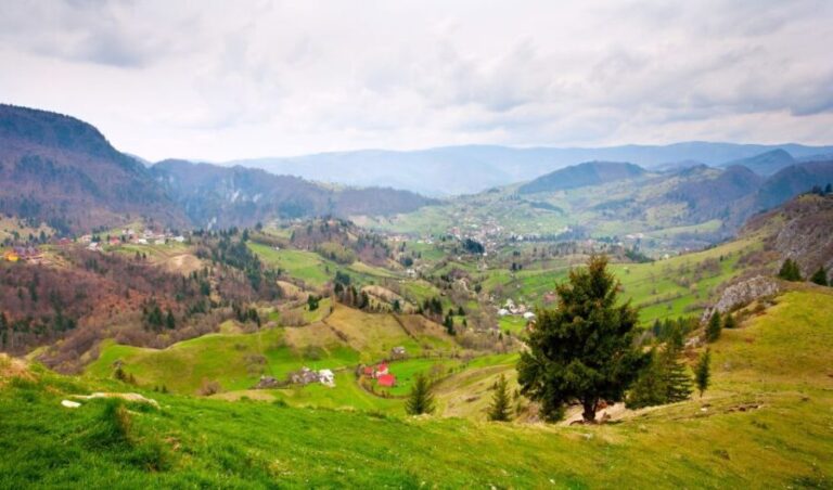 From Cluj-Napoca: 2-Day Bucovina & Painted Monasteries Tour - Who Will Love This Tour?